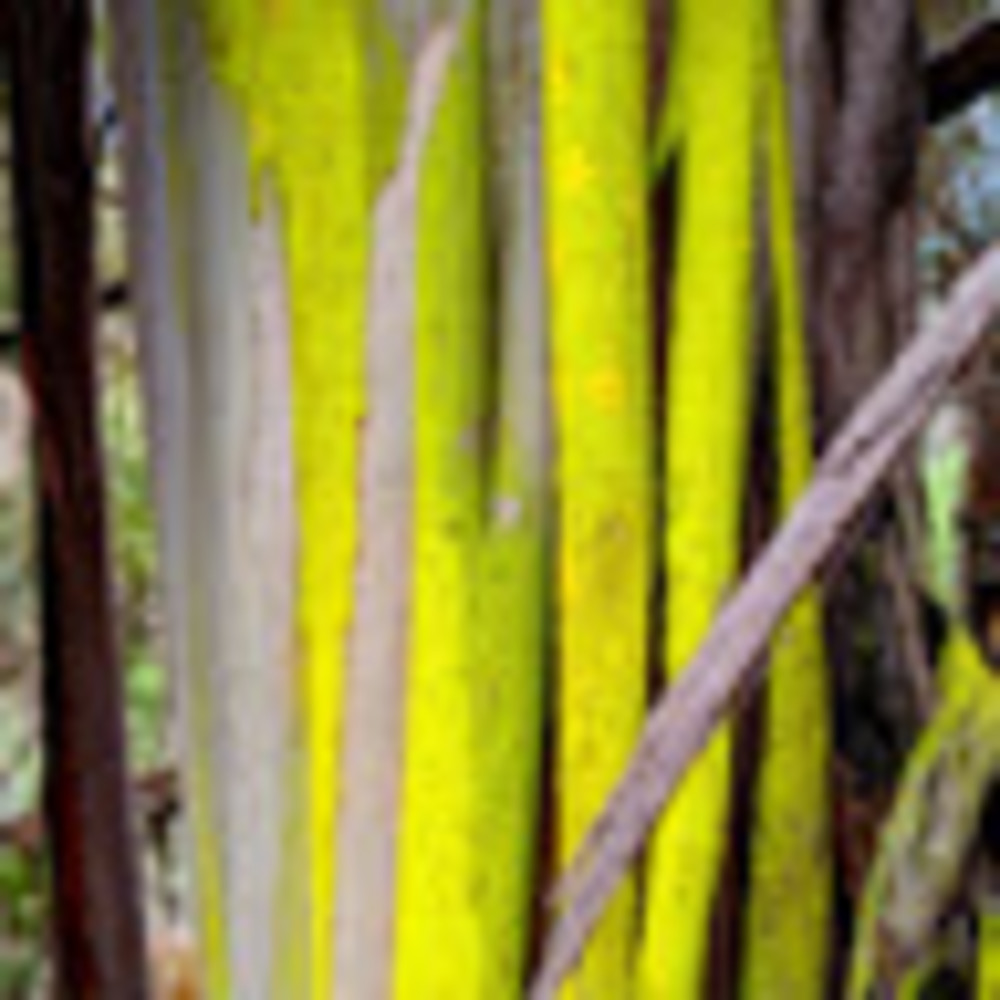 Meet your Posher, Irina